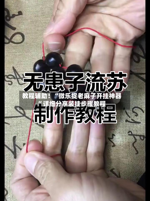 教程辅助！“微乐捉老麻子开挂神器”详细分享装挂步骤教程-第3张图片