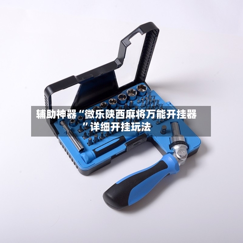 辅助神器“微乐陕西麻将万能开挂器	”详细开挂玩法-第1张图片