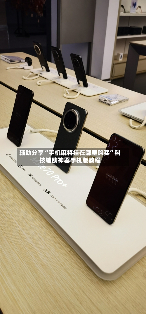 辅助分享“手机麻将挂在哪里购买	”科技辅助神器手机版教程-第2张图片