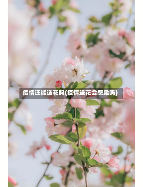 疫情还能送花吗(疫情送花会感染吗)