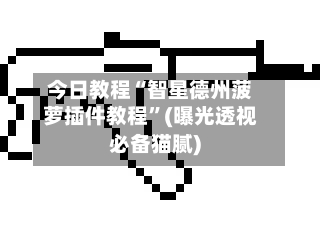 今日教程“智星德州菠萝插件教程”(曝光透视必备猫腻)-第2张图片