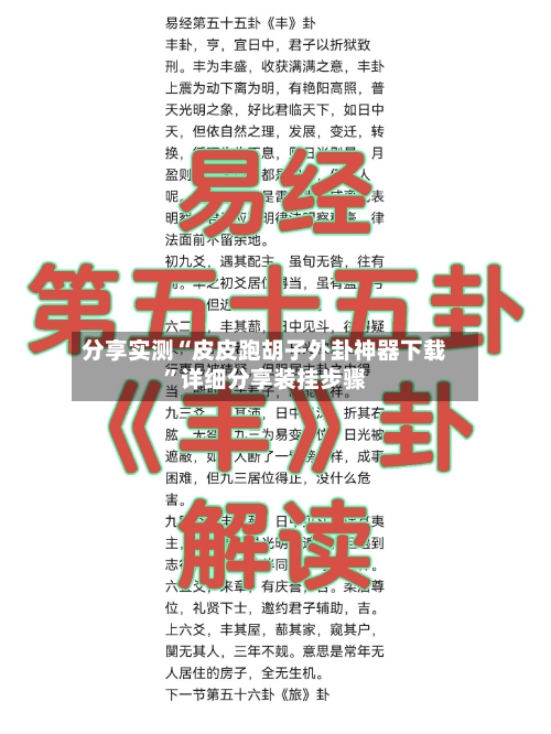 分享实测“皮皮跑胡子外卦神器下载”详细分享装挂步骤-第2张图片