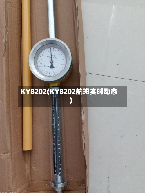 KY8202(KY8202航班实时动态)