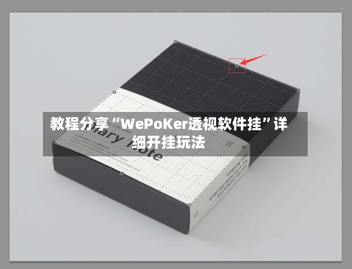 教程分享“WePoKer透视软件挂”详细开挂玩法-第3张图片