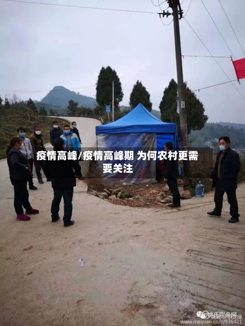 疫情高峰/疫情高峰期 为何农村更需要关注