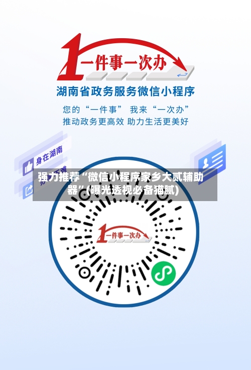 强力推荐“微信小程序家乡大贰辅助器	”(曝光透视必备猫腻)-第2张图片
