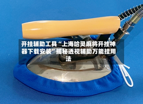 开挂辅助工具“上海哈灵麻将开挂神器下载安装”揭秘透视辅助万能挂用法-第2张图片