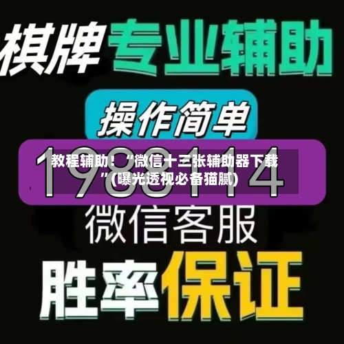 教程辅助！“微信十三张辅助器下载”(曝光透视必备猫腻)-第2张图片