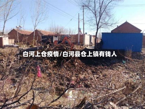 白河上仓疫情/白河县仓上镇有钱人-第2张图片