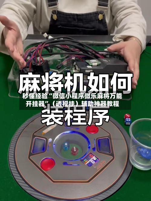 秒懂经验“微信小程序微乐麻将万能开挂器	”（透视挂）辅助神器教程-第3张图片