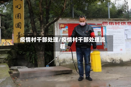 疫情村干部处理/疫情村干部处理流程