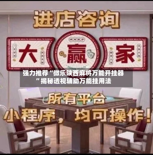 强力推荐“微乐陕西麻将万能开挂器”揭秘透视辅助万能挂用法-第2张图片