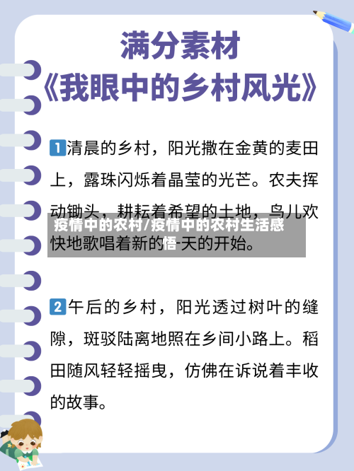 疫情中的农村/疫情中的农村生活感悟-第2张图片