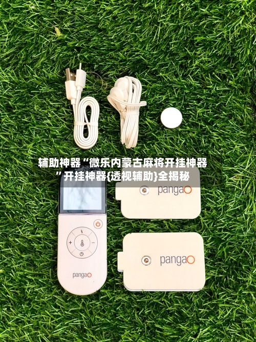 辅助神器“微乐内蒙古麻将开挂神器	”开挂神器{透视辅助}全揭秘-第3张图片