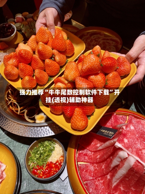 强力推荐“牛牛尾数控制软件下载”开挂(透视)辅助神器-第2张图片