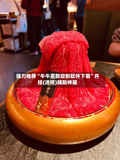 强力推荐“牛牛尾数控制软件下载	”开挂(透视)辅助神器-第3张图片