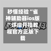 秒懂经验“雀神辅助器ios版”详细开挂教程官方正版下载-第3张图片