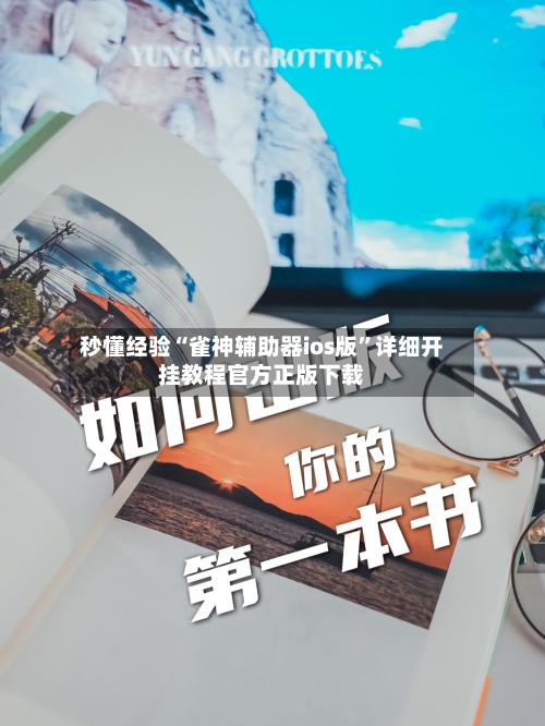 秒懂经验“雀神辅助器ios版”详细开挂教程官方正版下载-第2张图片