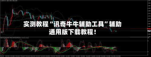 实测教程“讯奇牛牛辅助工具”辅助通用版下载教程！-第3张图片