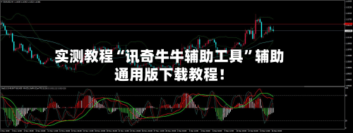 实测教程“讯奇牛牛辅助工具	”辅助通用版下载教程！-第2张图片