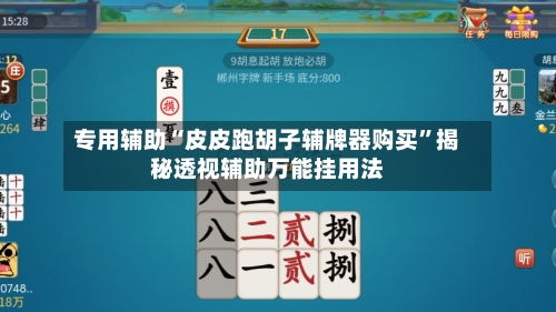专用辅助“皮皮跑胡子辅牌器购买	”揭秘透视辅助万能挂用法-第2张图片