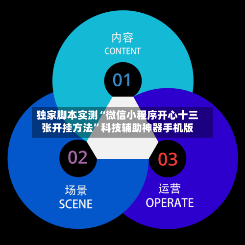 独家脚本实测“微信小程序开心十三张开挂方法	”科技辅助神器手机版-第3张图片