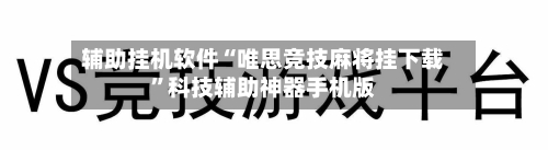 辅助挂机软件“唯思竞技麻将挂下载”科技辅助神器手机版-第2张图片