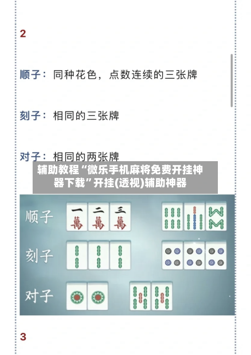 辅助教程“微乐手机麻将免费开挂神器下载”开挂(透视)辅助神器-第2张图片