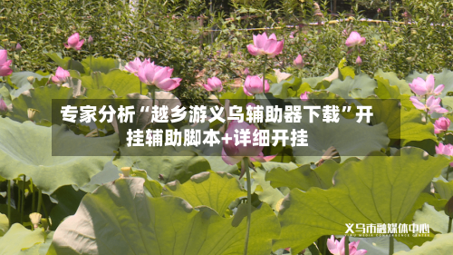 专家分析“越乡游义乌辅助器下载”开挂辅助脚本+详细开挂-第2张图片