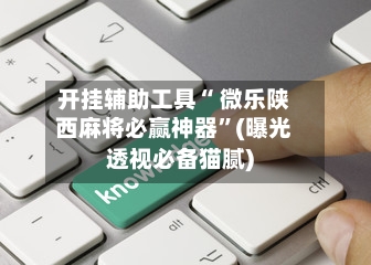 开挂辅助工具“ 微乐陕西麻将必赢神器”(曝光透视必备猫腻)-第3张图片