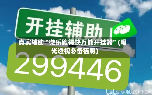 真实辅助“微乐跑得快万能开挂器”(曝光透视必备猫腻)-第3张图片