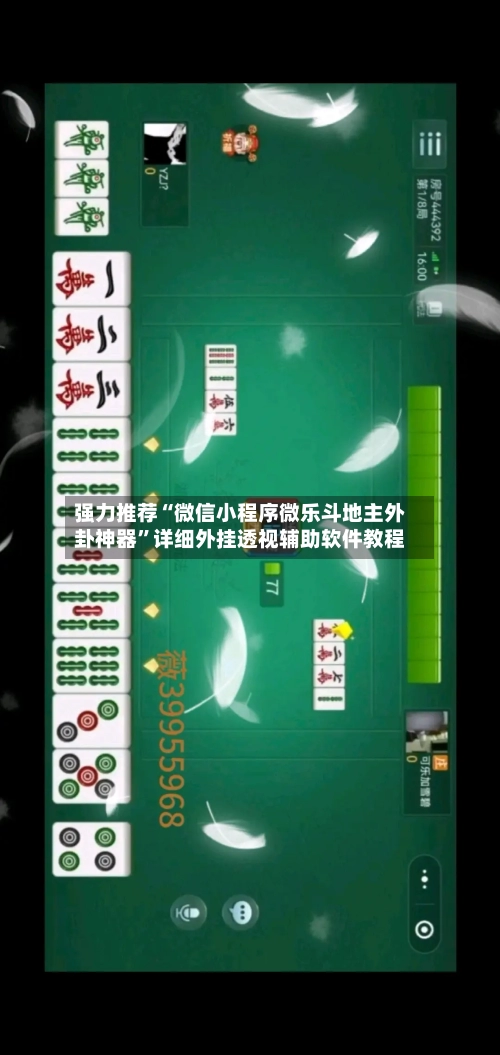 强力推荐“微信小程序微乐斗地主外卦神器”详细外挂透视辅助软件教程-第2张图片