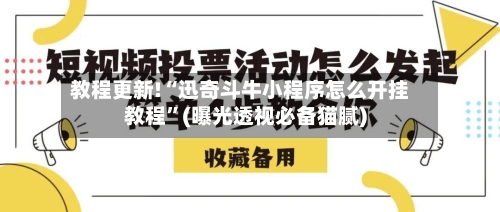 教程更新!“迅奇斗牛小程序怎么开挂教程”(曝光透视必备猫腻)-第2张图片