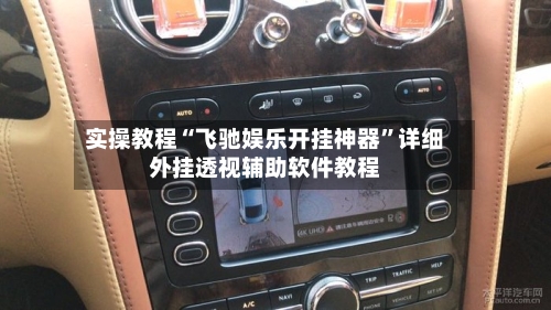 实操教程“飞驰娱乐开挂神器”详细外挂透视辅助软件教程-第3张图片