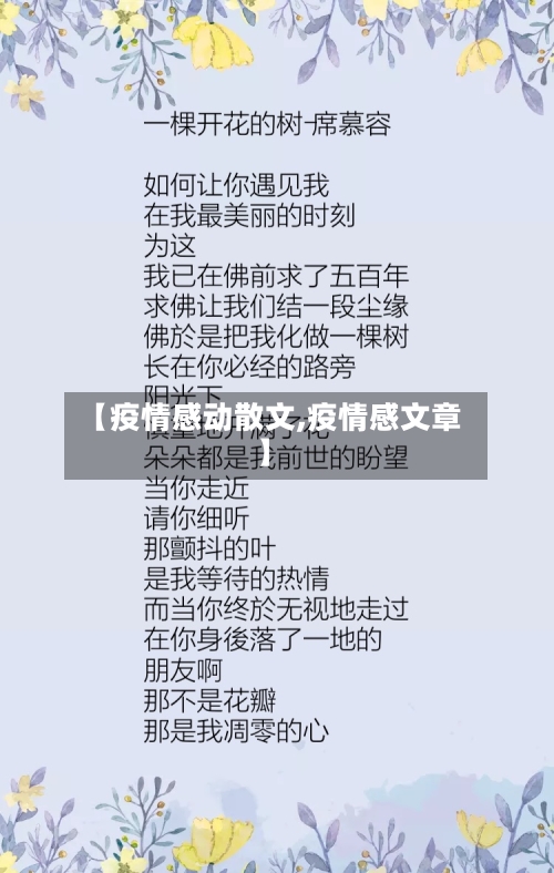 【疫情感动散文,疫情感文章】