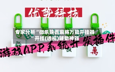 专家分析“微乐陕西麻将万能开挂器”开挂(透视)辅助神器-第2张图片