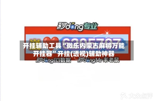 开挂辅助工具“微乐内蒙古麻将万能开挂器”开挂(透视)辅助神器-第3张图片