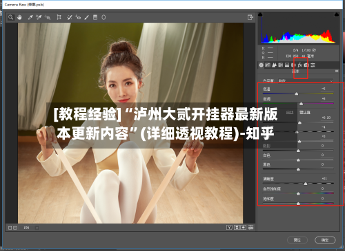 [教程经验]“泸州大贰开挂器最新版本更新内容”(详细透视教程)-知乎-第2张图片