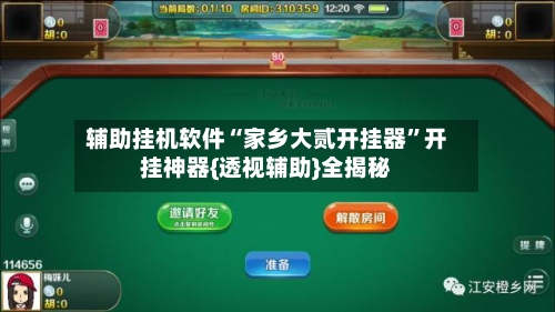 辅助挂机软件“家乡大贰开挂器”开挂神器{透视辅助}全揭秘-第2张图片