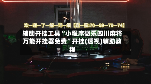 辅助开挂工具“小程序微乐四川麻将万能开挂器免费”开挂(透视)辅助教程-第2张图片