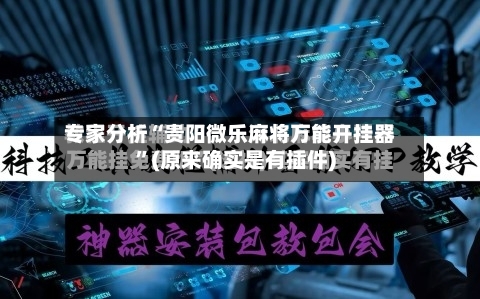 专家分析“贵阳微乐麻将万能开挂器”(原来确实是有插件)-第2张图片