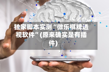 独家脚本实测“微乐棋牌透视软件”(原来确实是有插件)-第3张图片