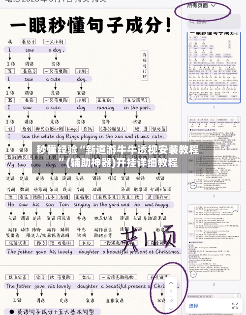 秒懂经验“新道游牛牛透视安装教程”(辅助神器)开挂详细教程-第3张图片