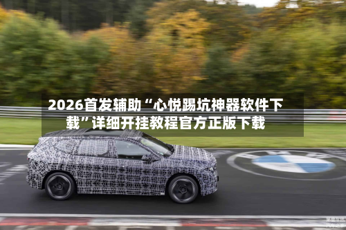 2026首发辅助“心悦踢坑神器软件下载”详细开挂教程官方正版下载-第2张图片