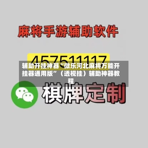 辅助开挂神器“微乐河北麻将万能开挂器通用版”（透视挂）辅助神器教程-第3张图片