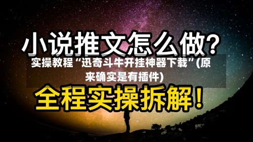 实操教程“迅奇斗牛开挂神器下载	”(原来确实是有插件)-第2张图片