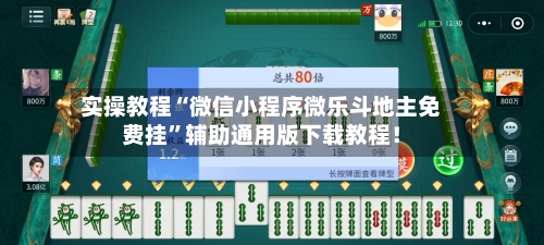实操教程“微信小程序微乐斗地主免费挂”辅助通用版下载教程！-第2张图片