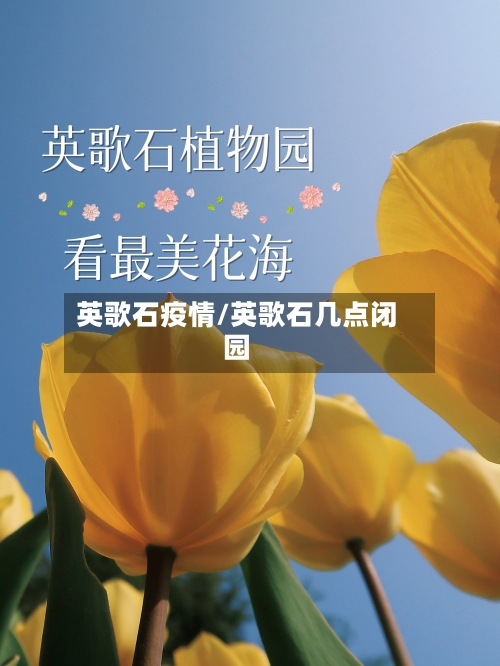 英歌石疫情/英歌石几点闭园-第2张图片