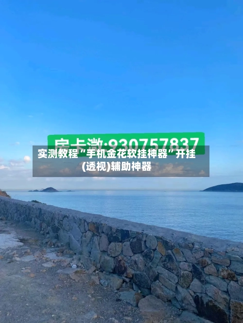 实测教程“手机金花软挂神器”开挂(透视)辅助神器-第2张图片