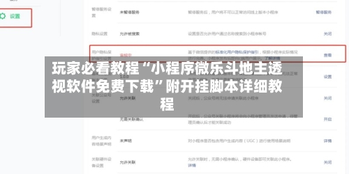 玩家必看教程“小程序微乐斗地主透视软件免费下载	”附开挂脚本详细教程-第2张图片